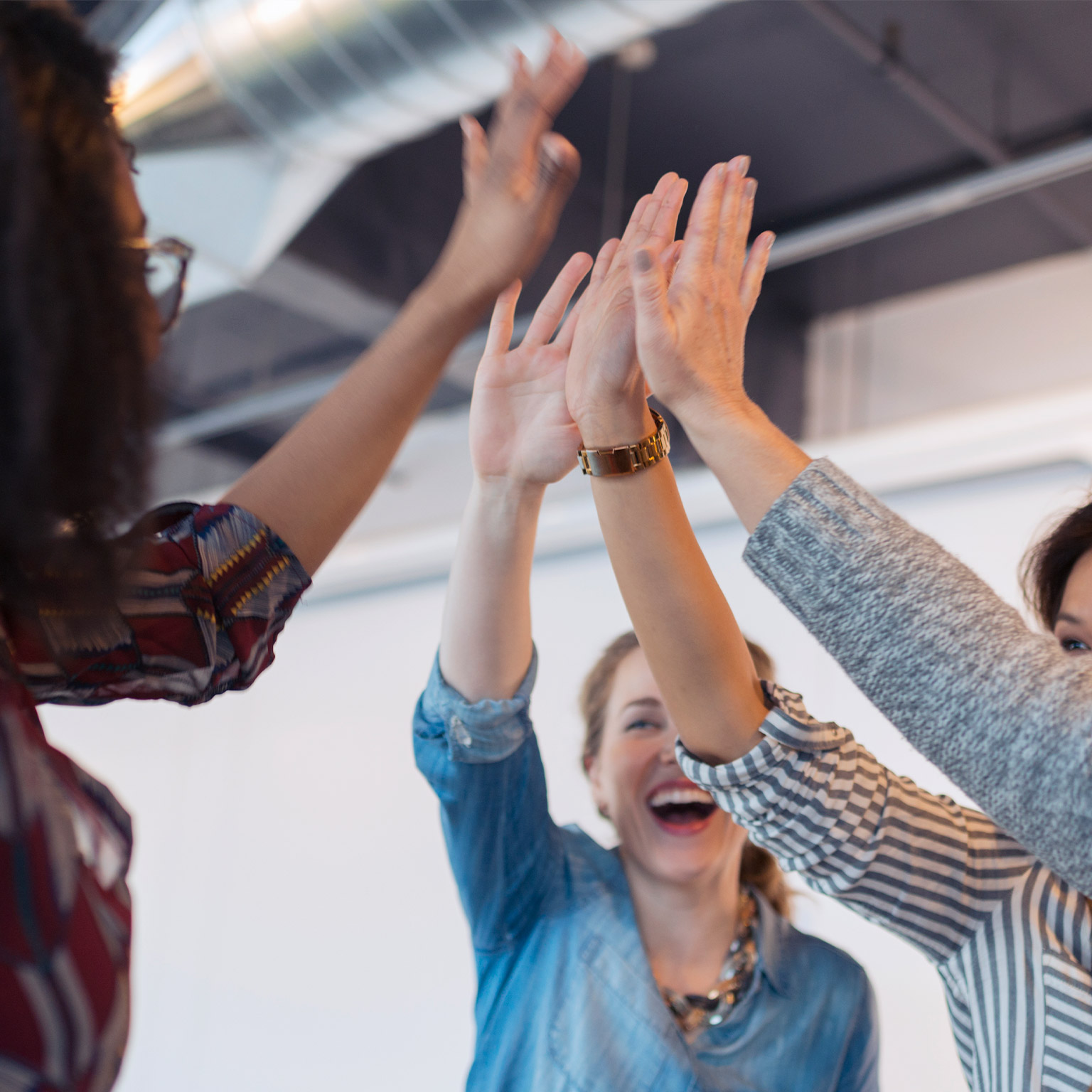 Professional community