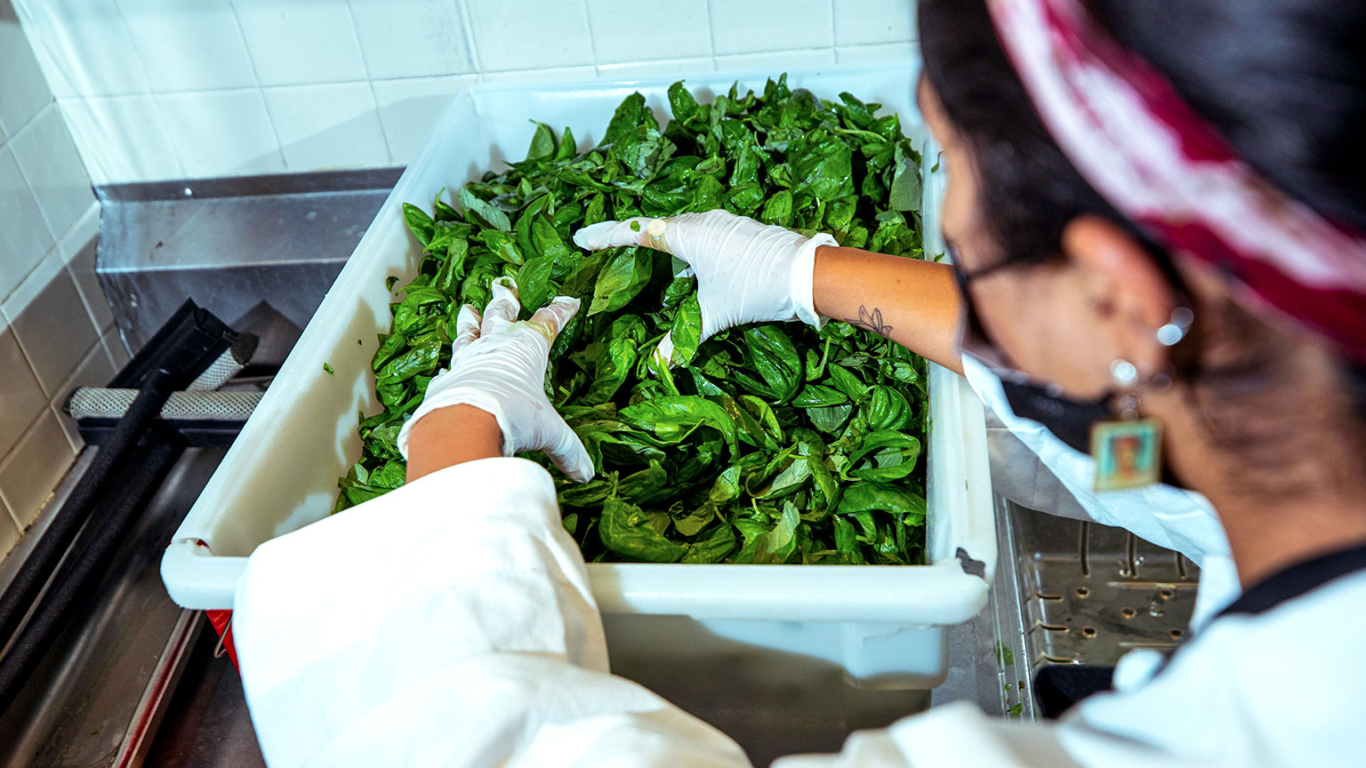 Restaurant worker prepping vegetables