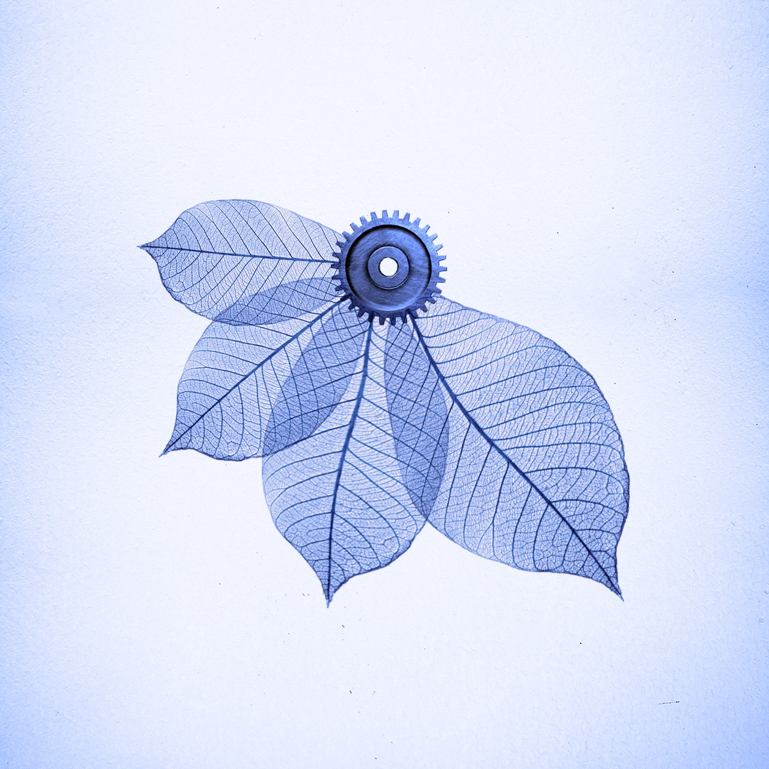 Four overlapping leaves are powered by a mechanical gear