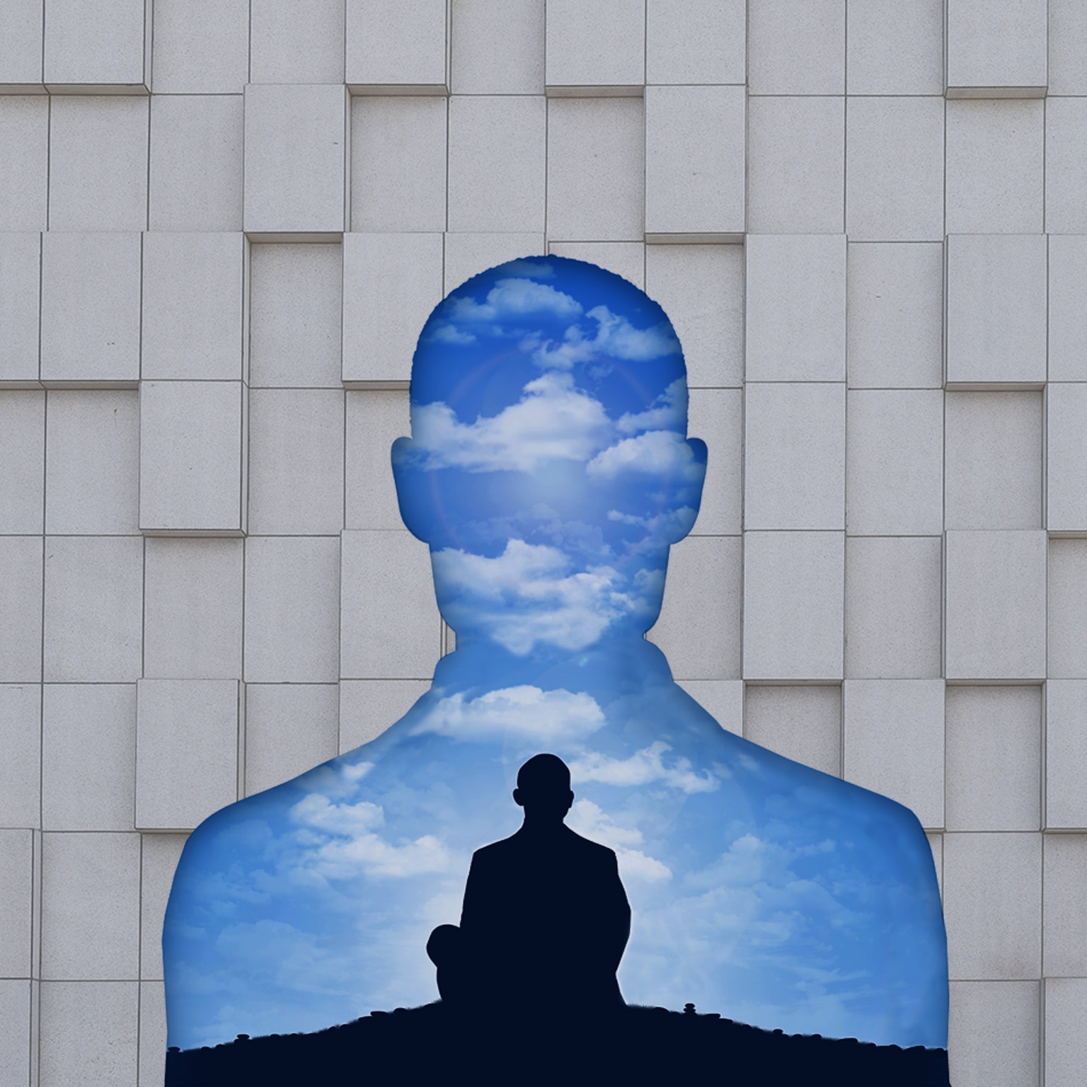 A silhouette of an executive's torso creates a cutout in a corporate wall, filled with a landscape that predominantly features the sky. In that landscape, a smaller silhouetted figure sits on the ground, lost in deep contemplation.