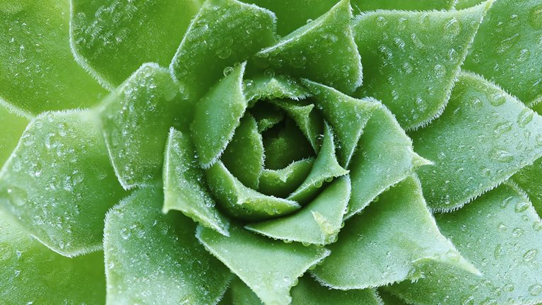 Organizing for sustainability success: Where, and how, leaders can start