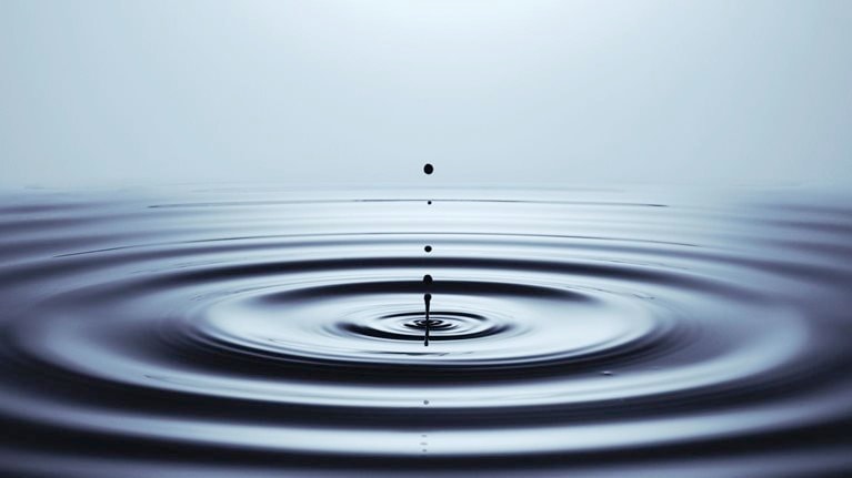 Well-being Insights Collection