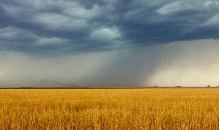 Thunderstorm passing over an open wheat field