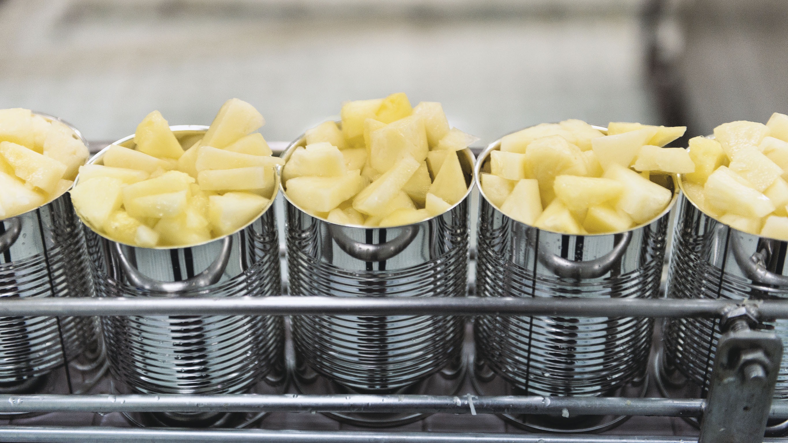 US food supply chain: Disruptions and implications from COVID-19