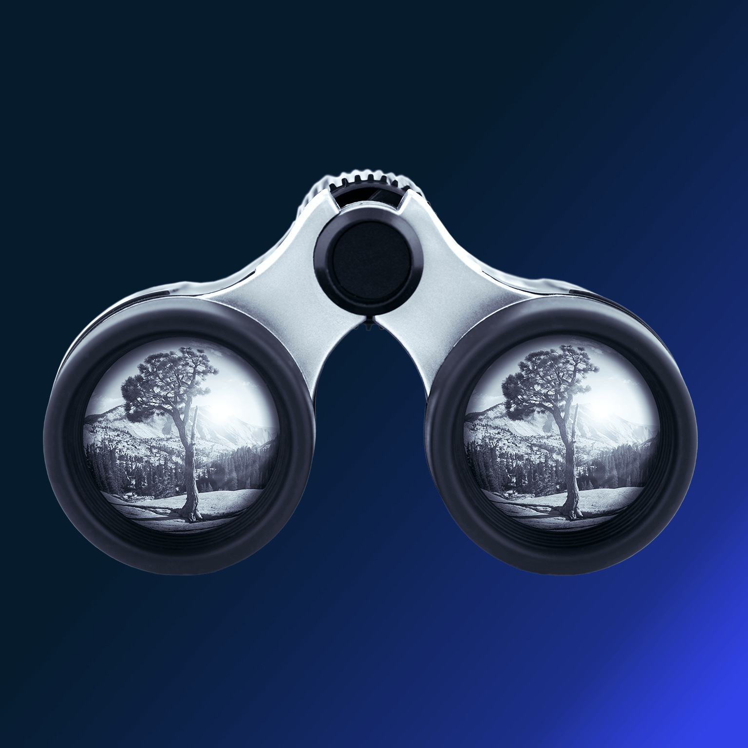 Blue toned binoculars
