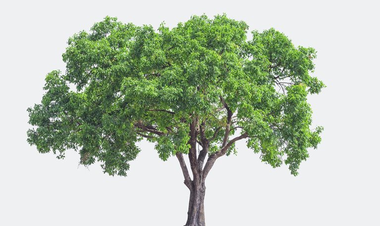 Long-term value creation in US retirement