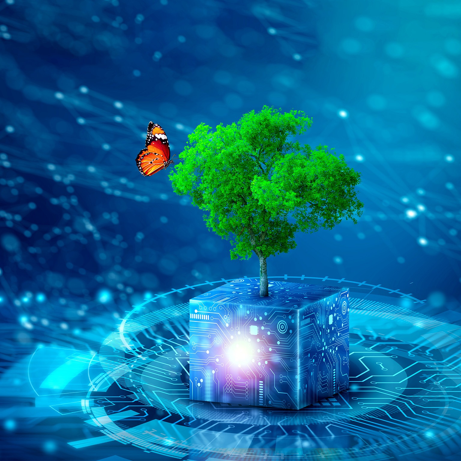 A conceptual 3D image of a butterfly landing on a tree that is growing on a digital cube covered in circuitry.