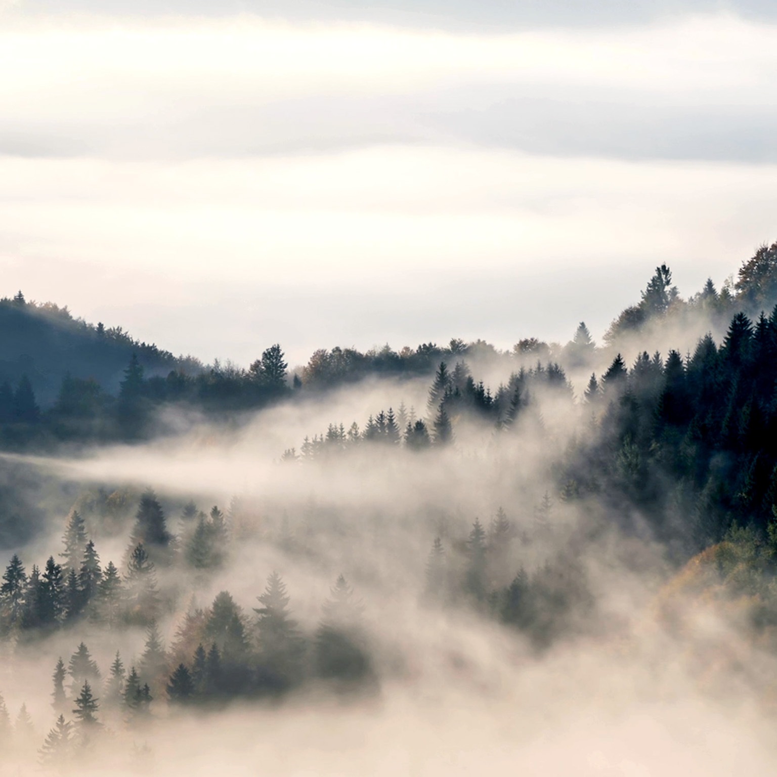 A time-lapse video captures rolling fog clouds above forested hills as morning light shines through.