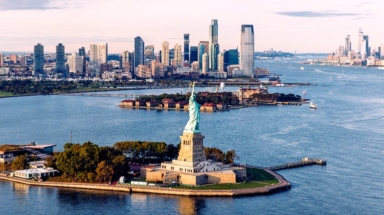 McKinsey on Veterans, History 2001