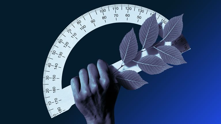 Solving the net-zero equation: Nine requirements for a more orderly transition