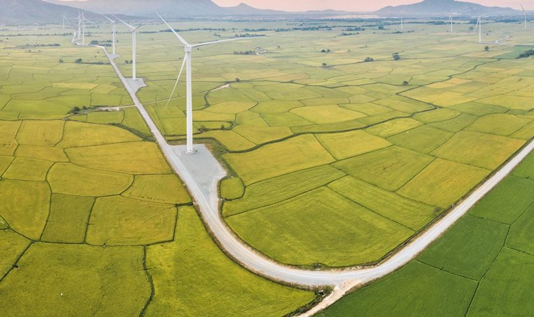 Above golden paddy field during harvest season
