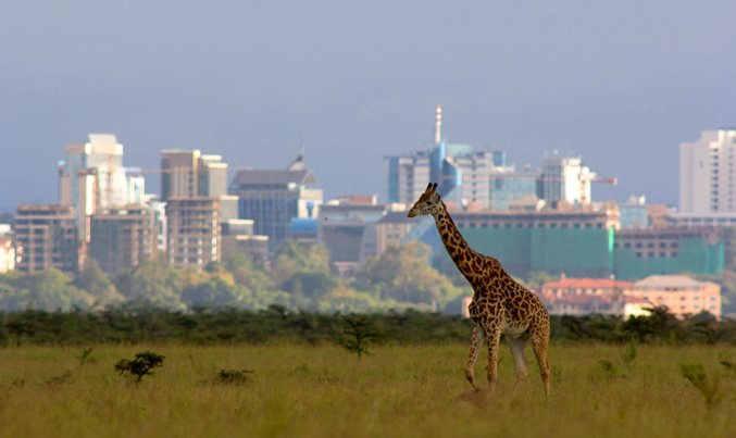 Africa&rsquo;s overlooked business revolution