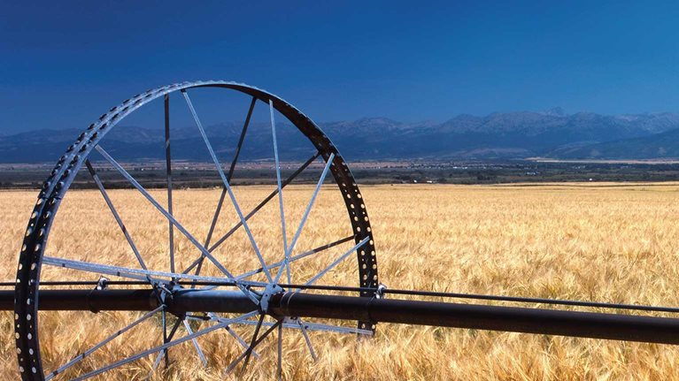 Feeding the world sustainably