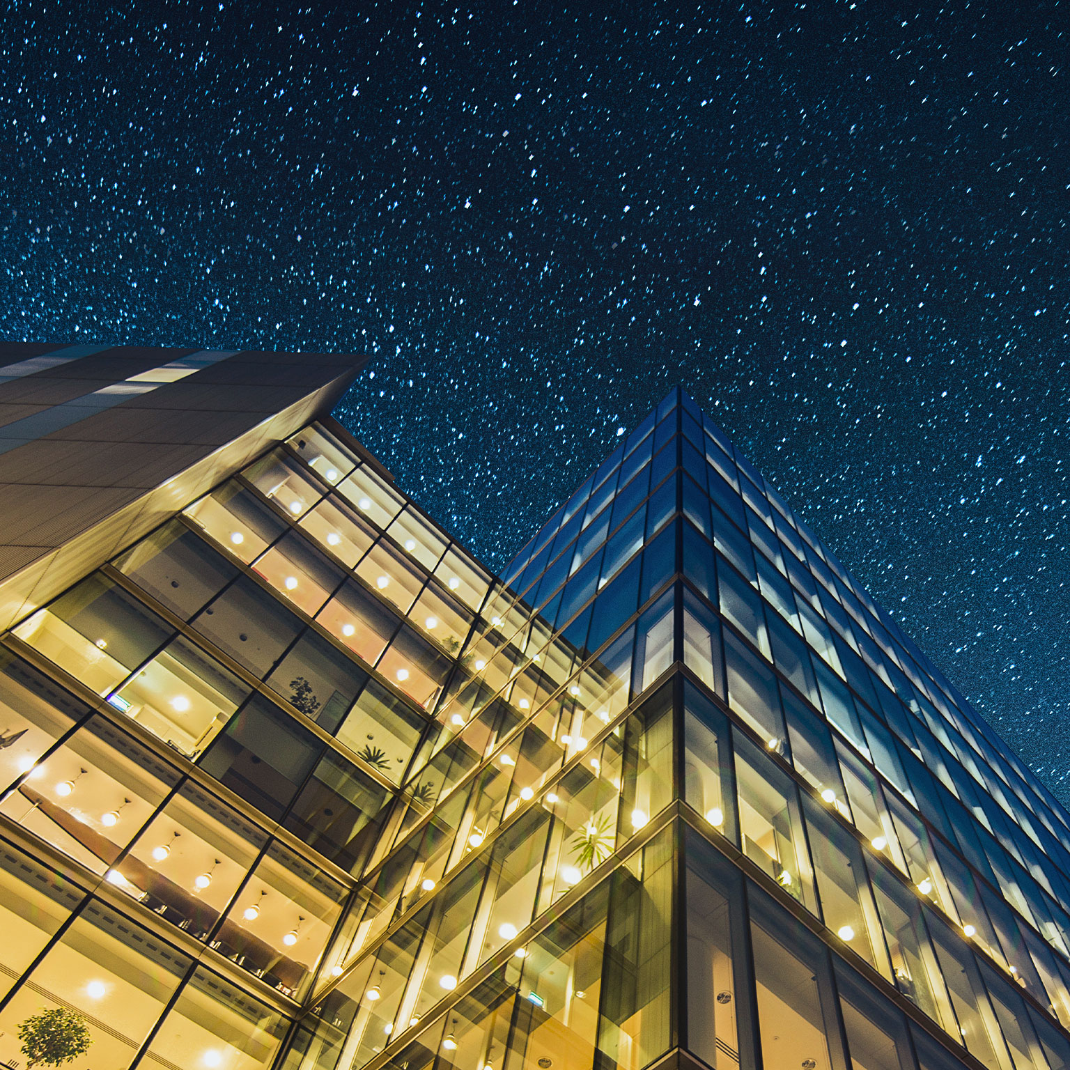 What every CEO needs to know about 'superstar' companies