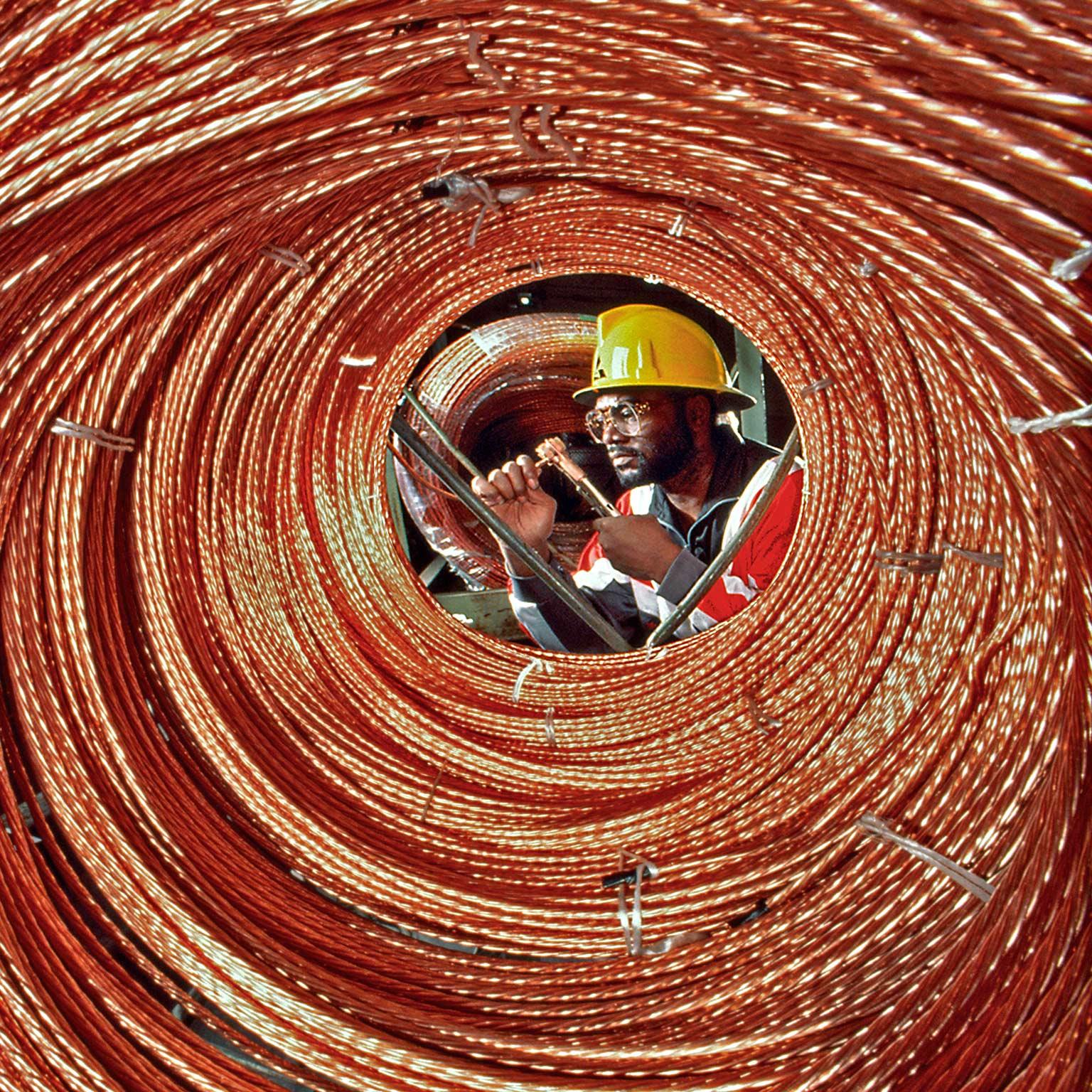 Lions-V3x1536-200_Standard