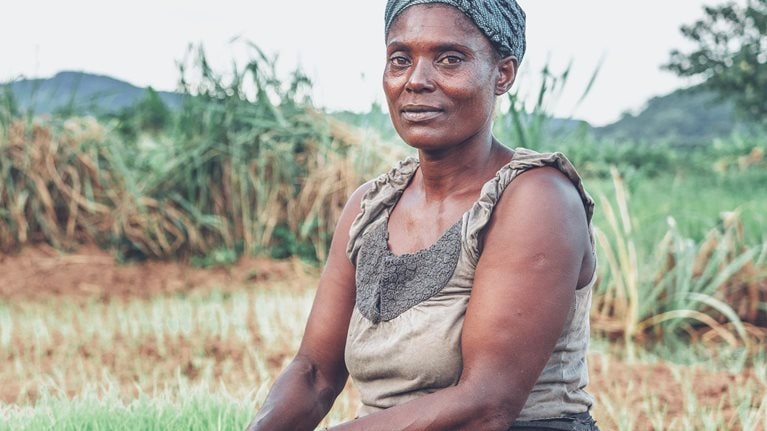 Safeguarding Africa’s food systems through and beyond the crisis