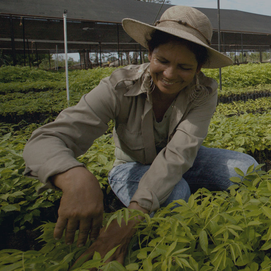 2019 Social Responsibility Report