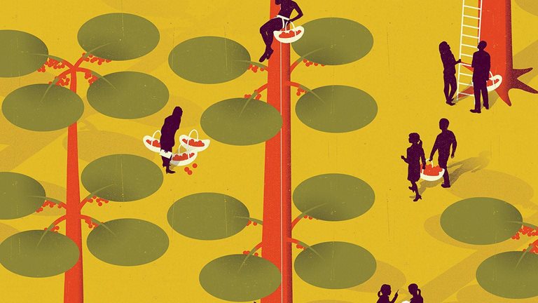 The organization that renews itself: Lasting value from lean 
management