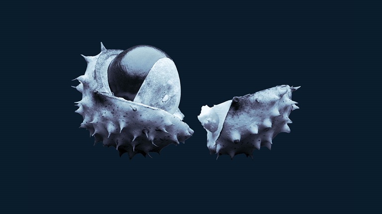 An image linking to the web page “Six problem-solving mindsets for very uncertain times” on McKinsey.com.