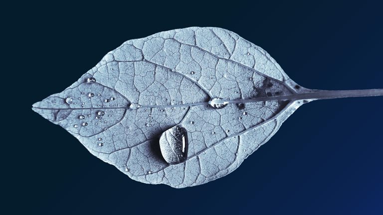 Addressing climate change in a post-pandemic world