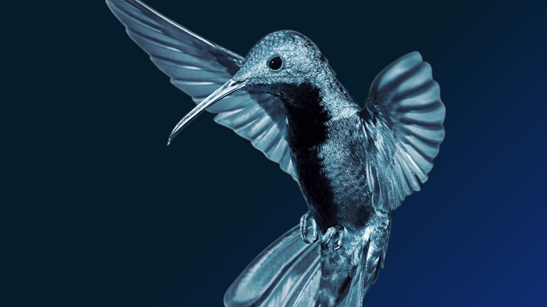 Valuing nature conservation