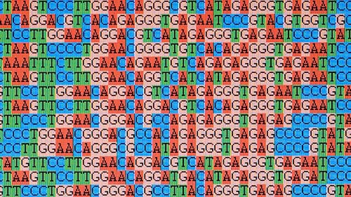 Shaking up the value chain