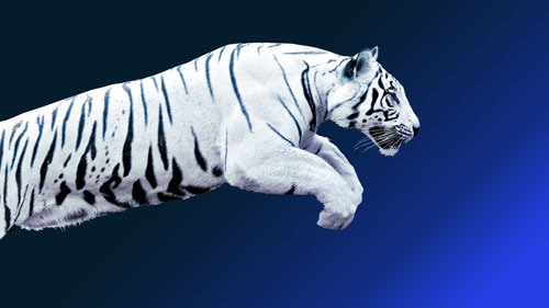 The future of Asia: Asian flows and networks are defining the next phase of globalization