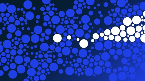 Mastering the duality of digital: How companies withstand disruption