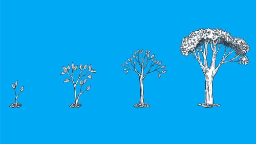 The ESG premium: New perspectives on value and performance 