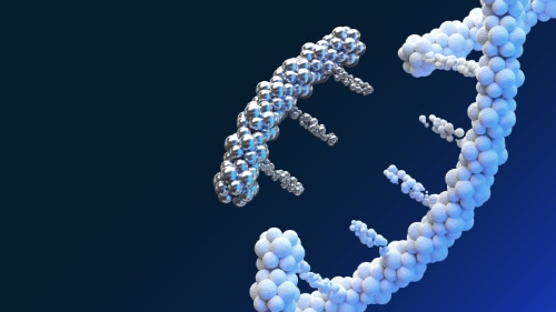 The Biological Revolution: Innovations transforming economies, societies, and our lives