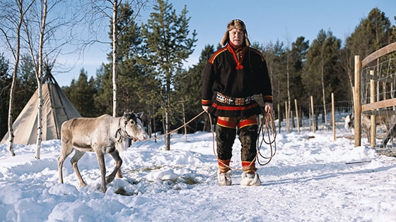 A person with a reindeer on a leash