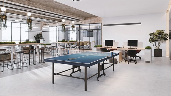office witht table tennis