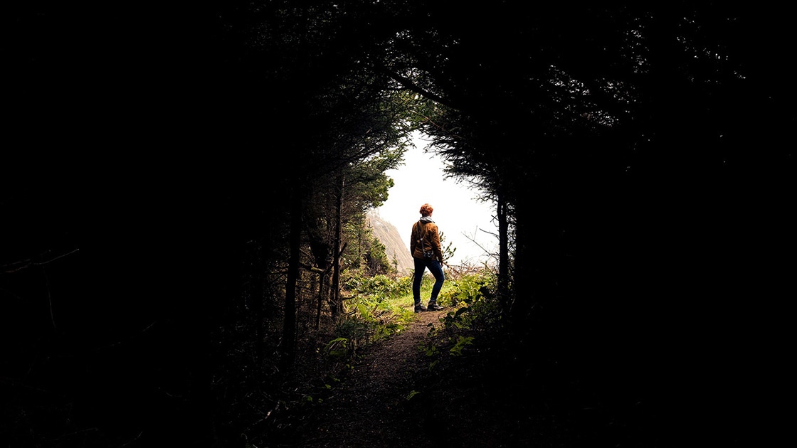 Image of a person emerging from a dark forest into the light