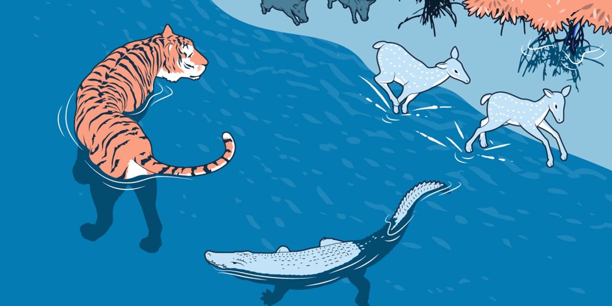 image a cartoon slide