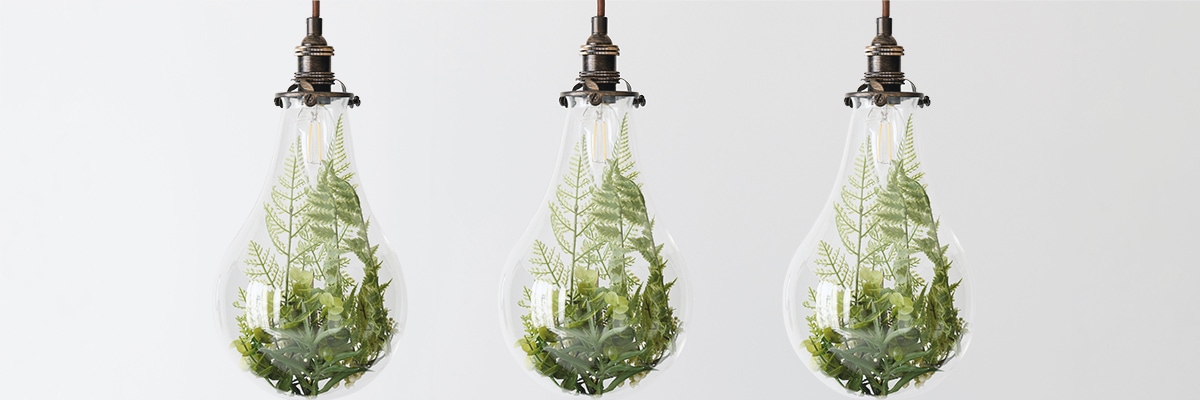 3 lightbulbs with plants inside