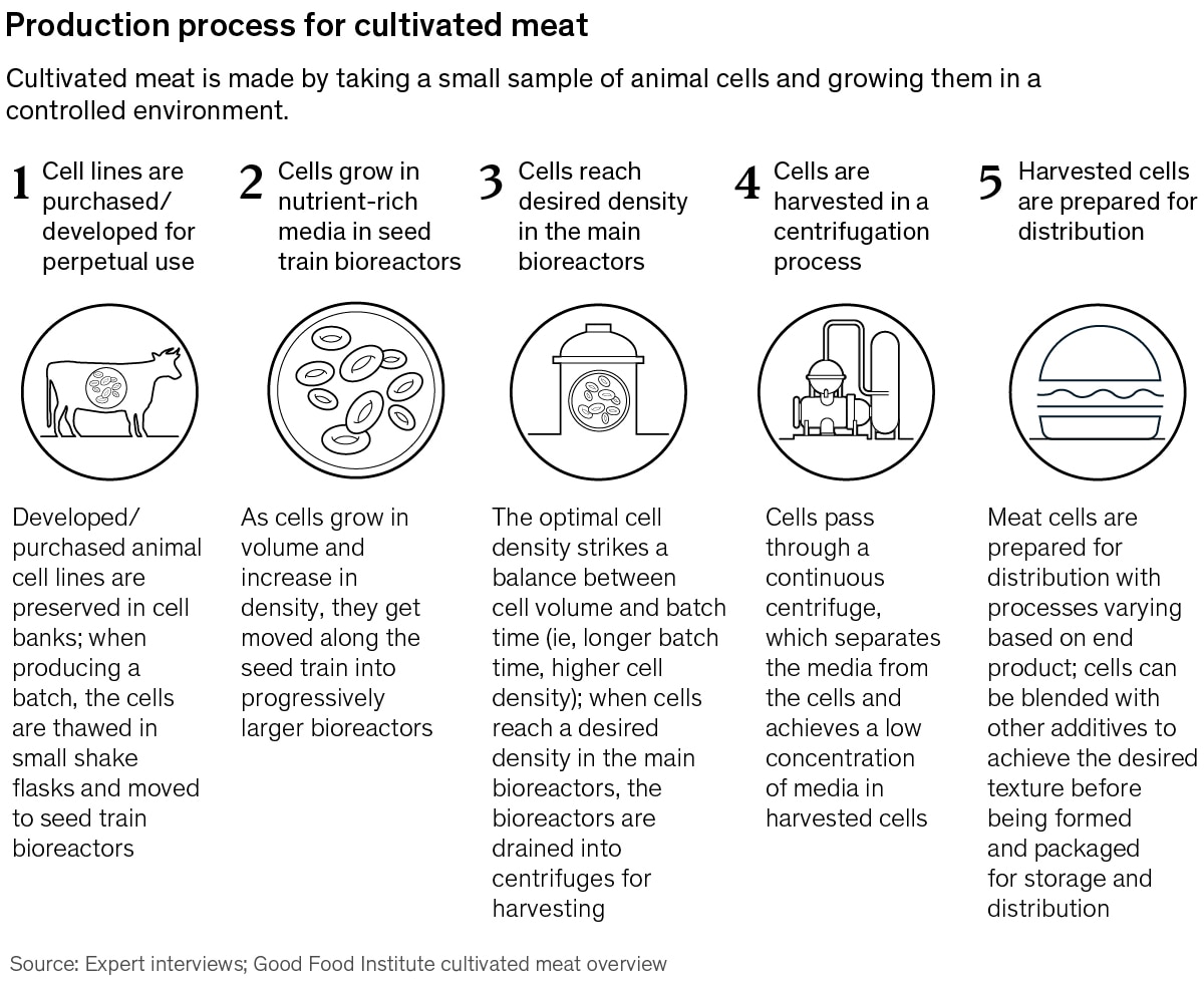 Production process for cultivated meat exhibit