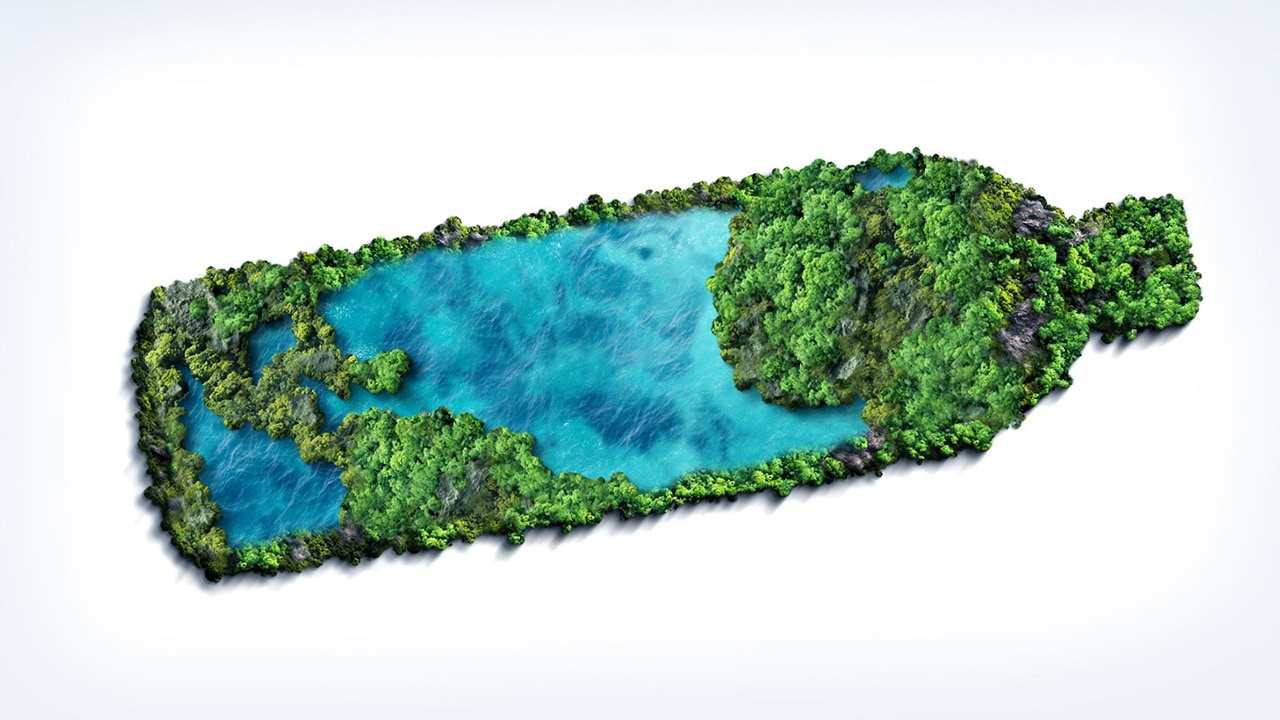 Illustration of a green vegetation and blue water in the shape of a plastic water bottle