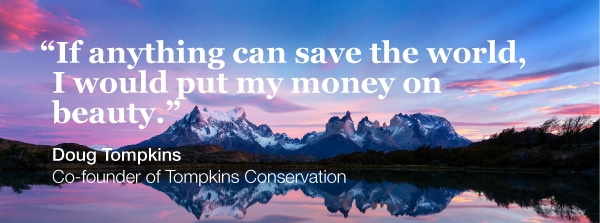 We must teach ourselves how to have a more comfortable and creative relationship with uncertainty.