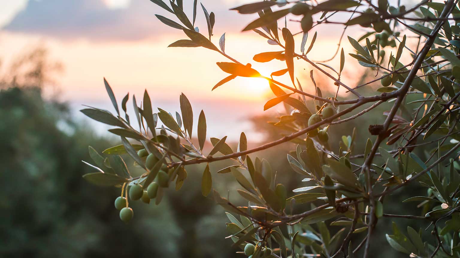 ACRE Agriculture McKinsey & Company