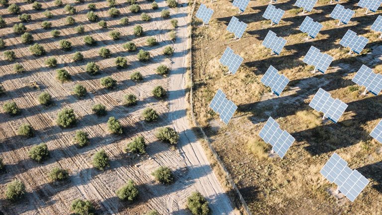 How the agriculture sector can prepare for disruption in the food value chain