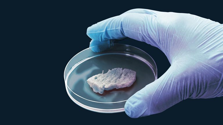 Alternative proteins and the future of meat 