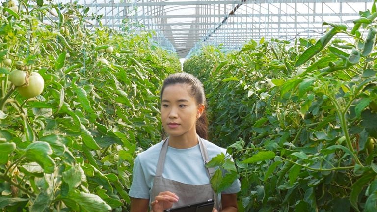 Image of a woman in a greenhouse