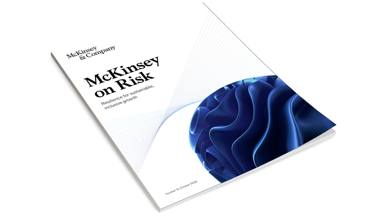 Cover image of a McKinsey on Risk report on a white background