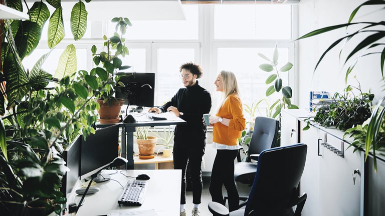 Office workers surrounded by plants