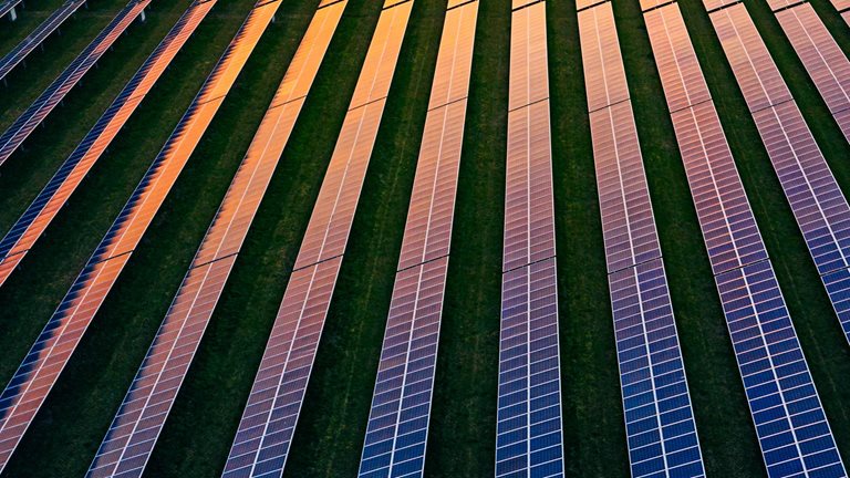 Image of rows of solar panels