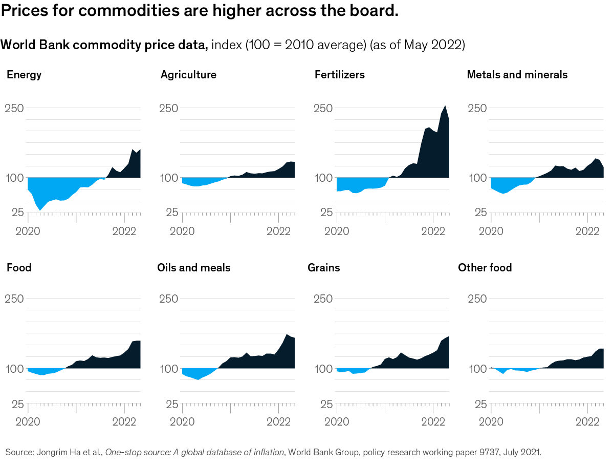 Chart of the rise in commodity prices around the world