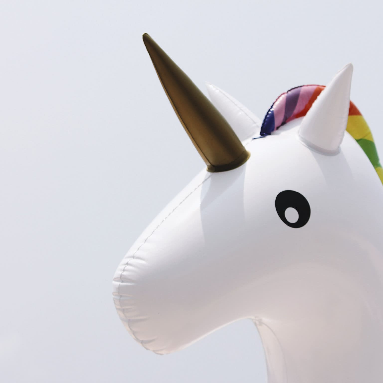 Photo of an air-filled unicorn toy