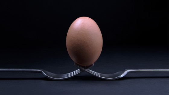 Image of a brown egg balanced on two forks