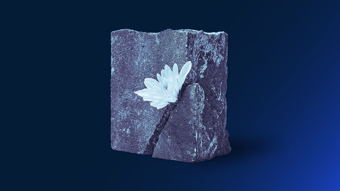 Image of a flower embedded in a square rock