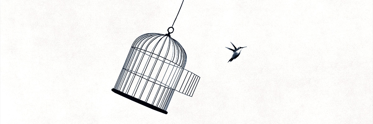 Illustration of an open bird cage with a bird flying out of it